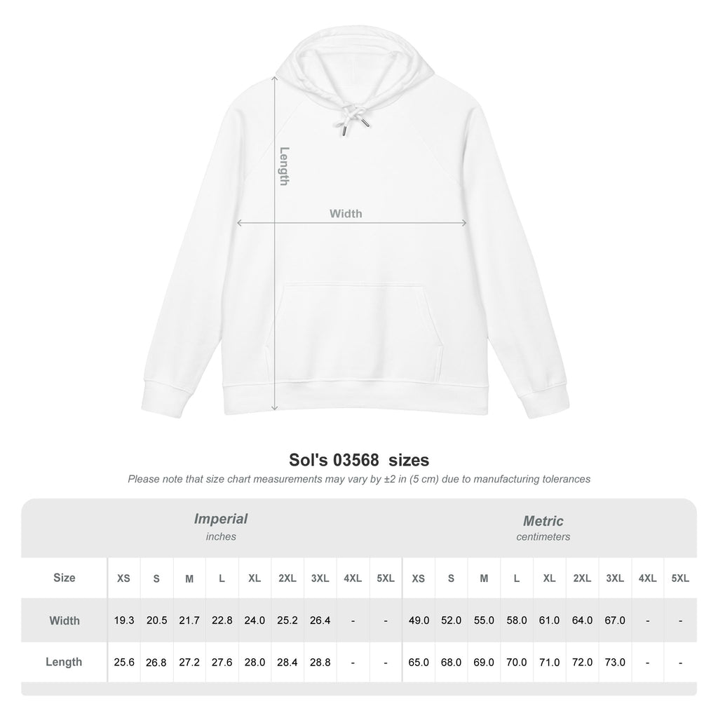 Embroidered Minimal Dope Laundry "Heavy Lit" Hoodie — Eco Raglan Sweatshirt